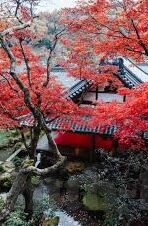 2828大象传媒-2828大象传媒，重塑数字时代的信息传播格局